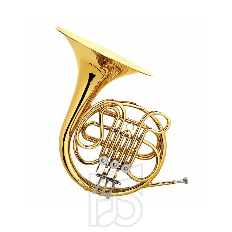 Sonata FHE110G French Horn