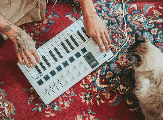 Arturia MiniLab 3 White — image 5