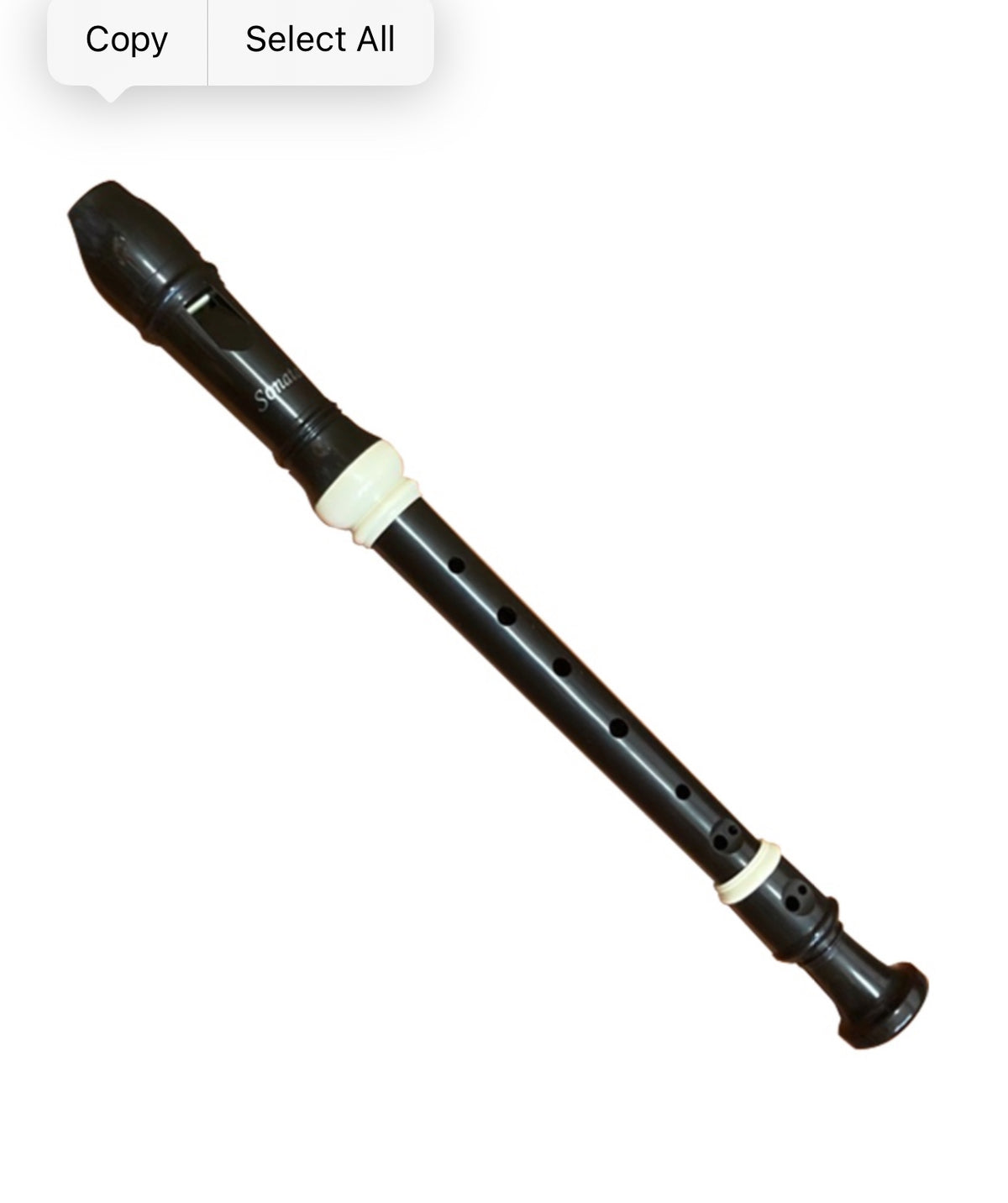 Sonata Soprano Recorder – Beginner Musical Instrument by Sonata