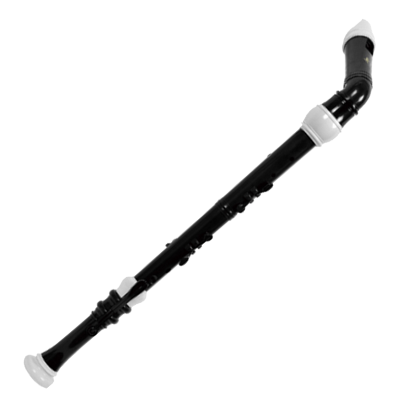 Qi Mei Recorder
Bass
Qm8A-21B by Qi Mei