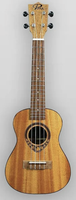 PUKANALA

UKULELE

PK-TFS