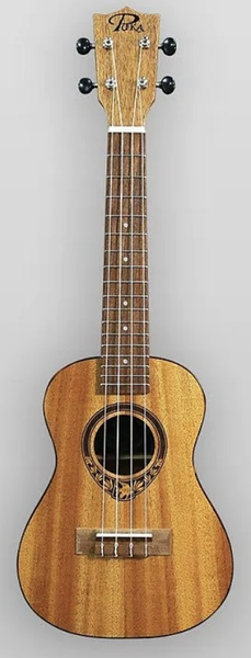 PUKANALA

UKULELE

PK-TFS