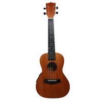 Pala 23 Inch Ukulele Nat +Eq