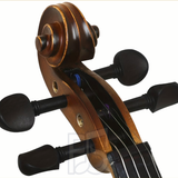 IRIN AV-526 4/4 Full Size Solid Top Violin Outfit – Spruce Top, Maple Back & Sides, Jujube Fingerboard Student Violin Set with Bow, Case & Accessories