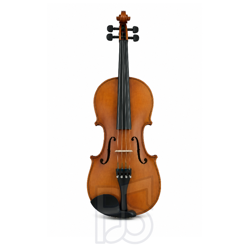 Sonata E900 Viola Beginner Set with Bow, Rosin & Protective Case