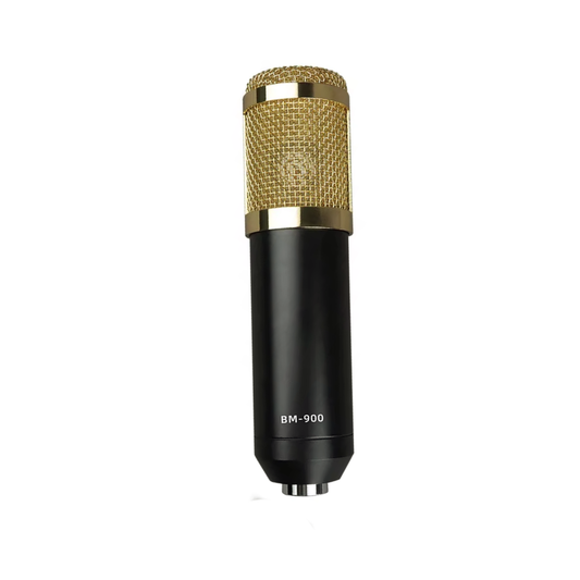 B900 Studio Condenser Microphone with XLR Cable and Shock Mount