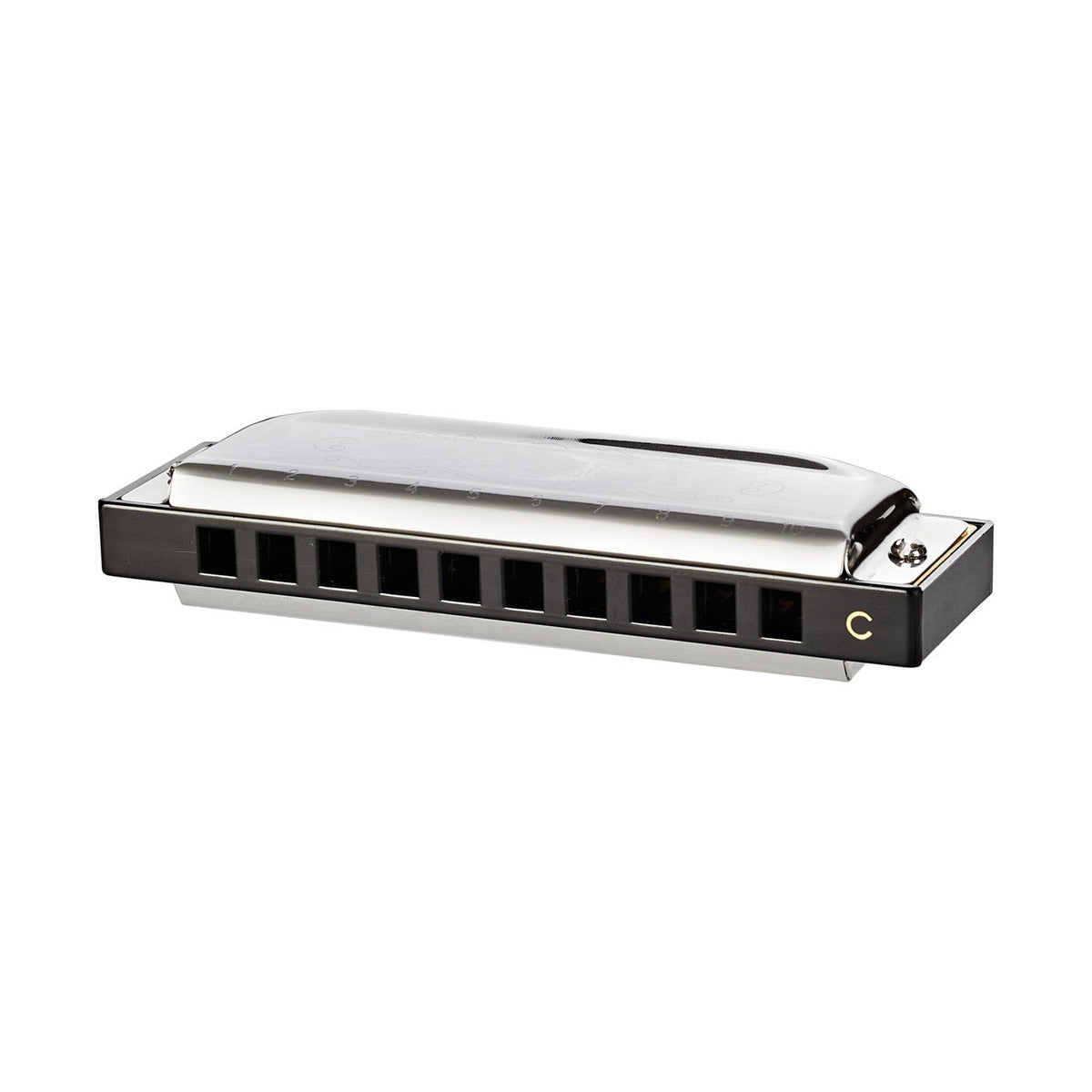 SX Blues Harmonica 10 Key C