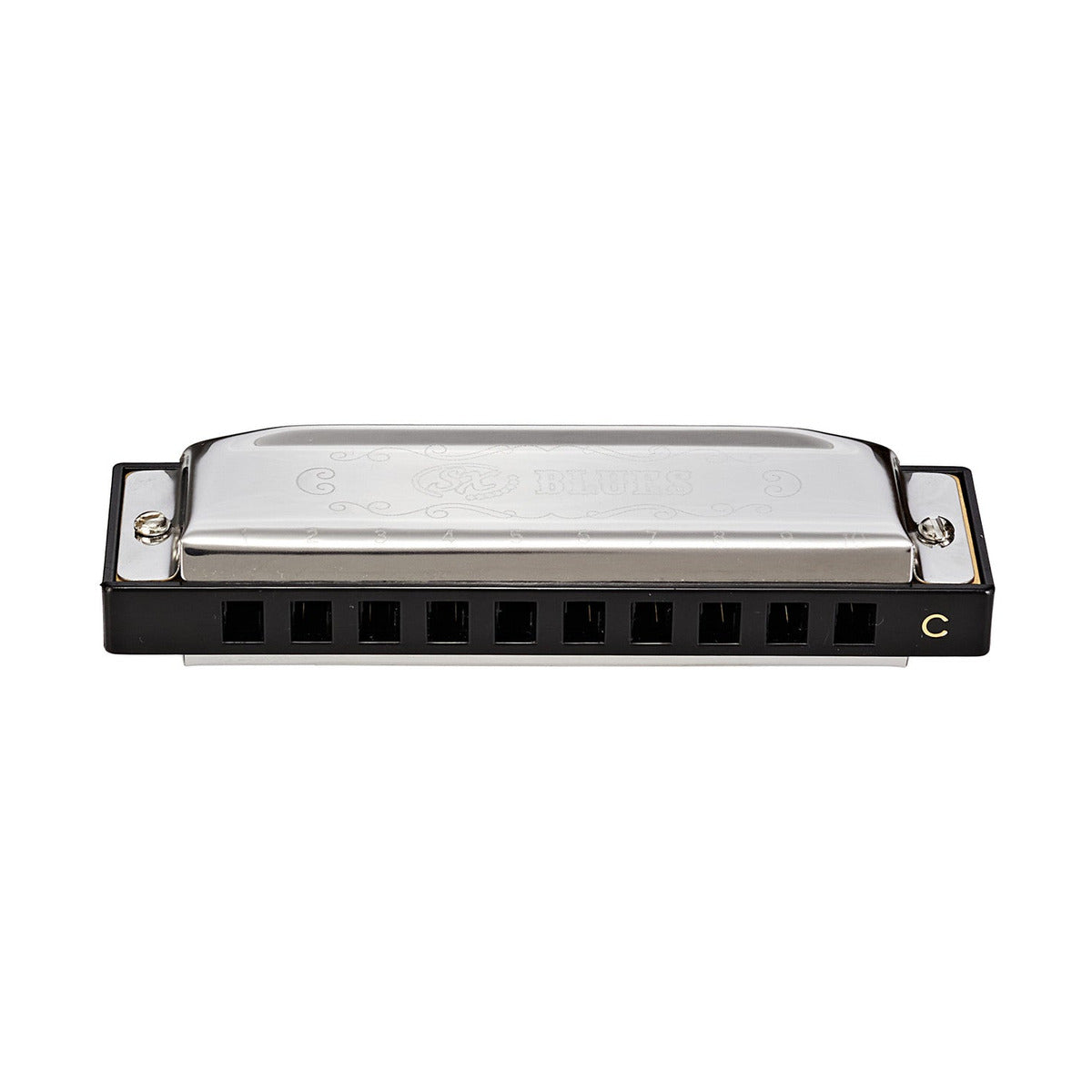 SX Blues Harmonica 10 Key C