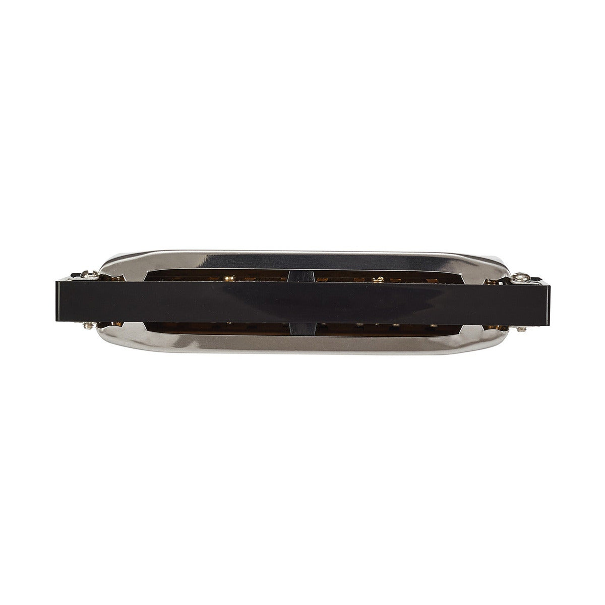 SX Blues Harmonica 10 Key C