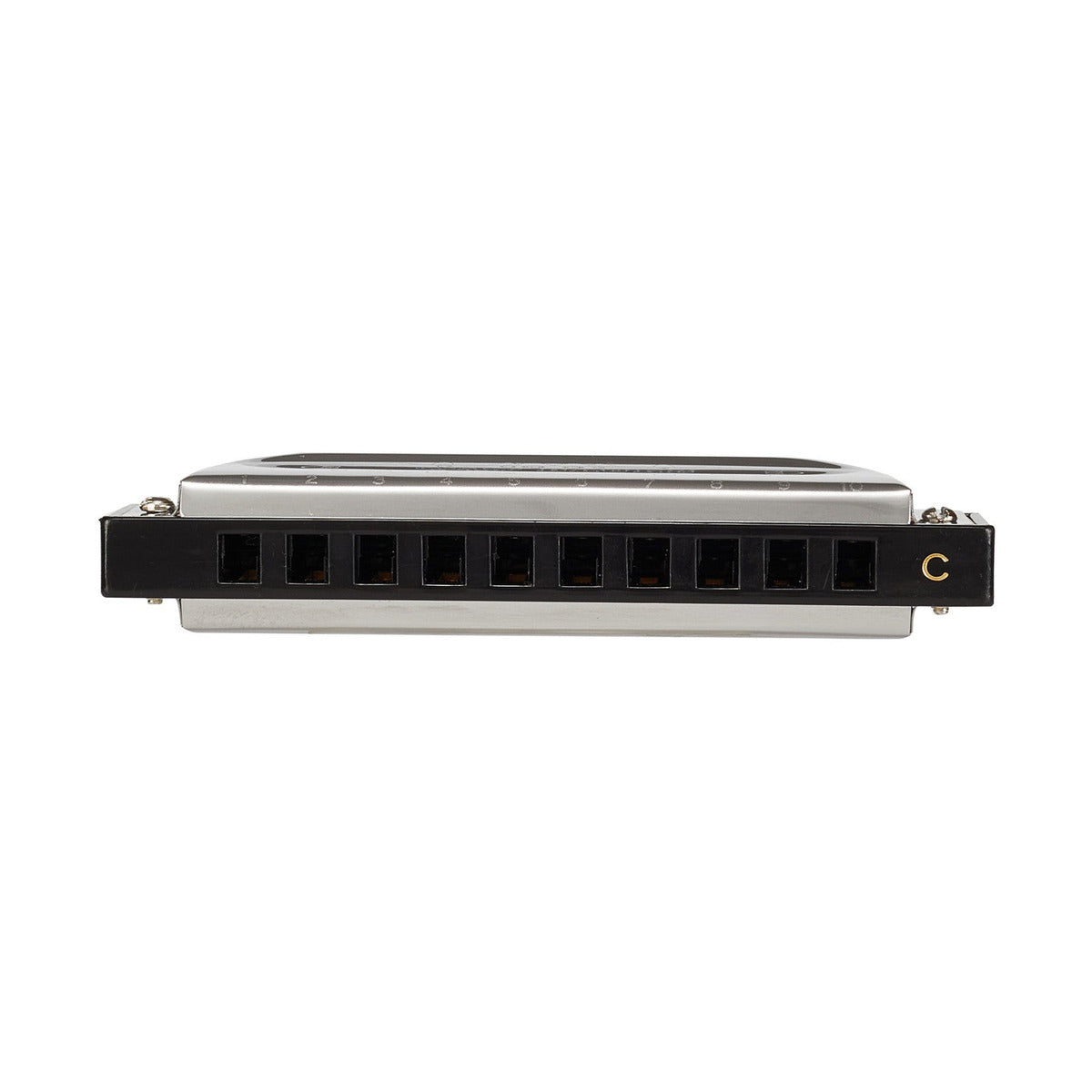 SX Blues Harmonica 10 Key C