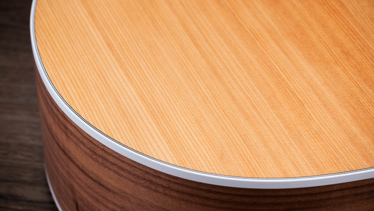 Taylor 214ce Layered Walnut Acoustic-Electric Guitar - side-detail