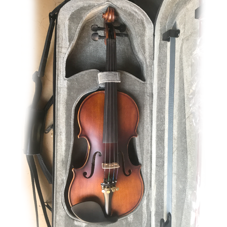 Prestige PRO14 Solid Top Violin