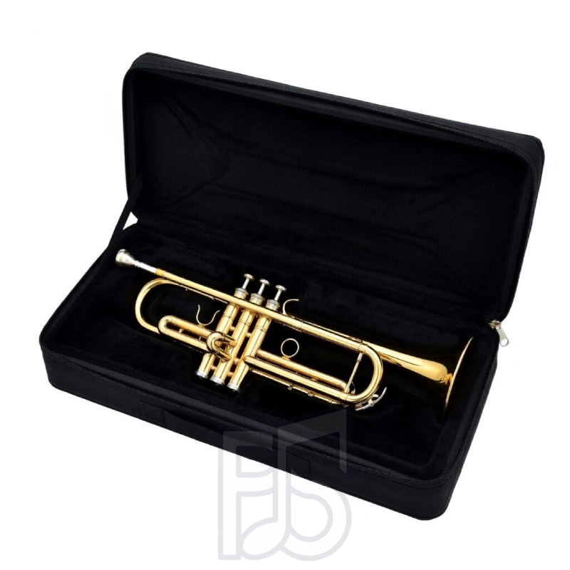 Sonata Beginner Bb Trumpet – Gold Lacquer Finish